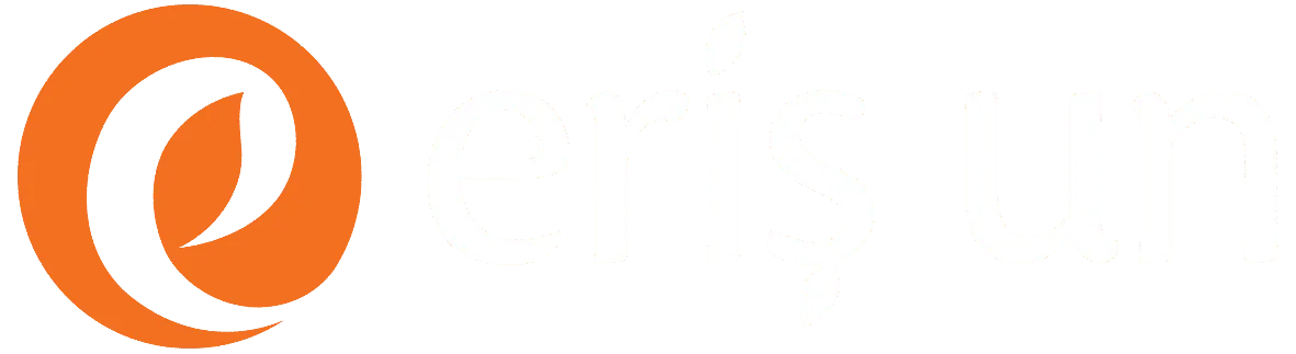 Eriş İnşaat